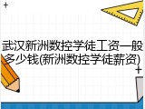 武汉新洲数控学徒工资一般多少钱(新洲数控学徒薪资)