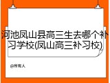 河池凤山县高三生去哪个补习学校(凤山高三补习校)