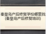 秦皇岛产后修复学校哪里找(秦皇岛产后修复培训)