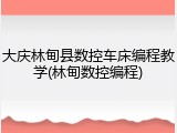 大庆林甸县数控车床编程教学(林甸数控编程)