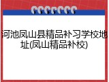 河池凤山县精品补习学校地址(凤山精品补校)