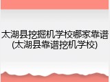 太湖县挖掘机学校哪家靠谱(太湖县靠谱挖机学校)