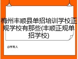 梅州丰顺县单招培训学校正规学校有那些(丰顺正规单招学校)