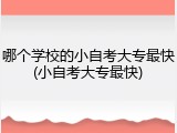 哪个学校的小自考大专最快(小自考大专最快)