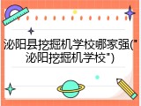 泌阳县挖掘机学校哪家强("泌阳挖掘机学校")