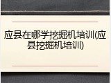 应县在哪学挖掘机培训(应县挖掘机培训)