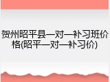 贺州昭平县一对一补习班价格(昭平一对一补习价)