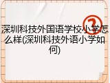 深圳科技外国语学校小学怎么样(深圳科技外语小学如何)