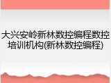 大兴安岭新林数控编程数控培训机构(新林数控编程)