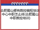 合肥蜀山哪有数控编程培训中心中职怎么样(合肥蜀山中职数控培训)