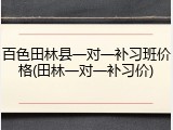 百色田林县一对一补习班价格(田林一对一补习价)