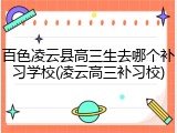 百色凌云县高三生去哪个补习学校(凌云高三补习校)