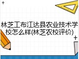 林芝工布江达县农业技术学校怎么样(林芝农校评价)