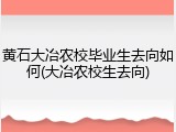 黄石大冶农校毕业生去向如何(大冶农校生去向)