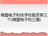 塘厦电子科技学校最厉害三个(塘厦电子校三强)