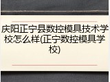 庆阳正宁县数控模具技术学校怎么样(正宁数控模具学校)