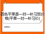 百色平果县一对一补习班价格(平果一对一补习价)