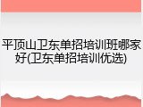 平顶山卫东单招培训班哪家好(卫东单招培训优选)