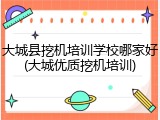 大城县挖机培训学校哪家好(大城优质挖机培训)