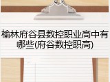榆林府谷县数控职业高中有哪些(府谷数控职高)