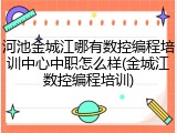 河池金城江哪有数控编程培训中心中职怎么样(金城江数控编程培训)
