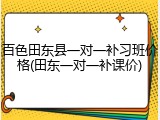百色田东县一对一补习班价格(田东一对一补课价)