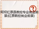 阿坝红原县数控专业就业前景(红原数控就业前景)