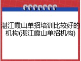 湛江霞山单招培训比较好的机构(湛江霞山单招机构)