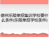 德州乐陵单招集训学校要什么条件(乐陵单招学校条件)