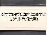 南宁宾阳县找单招集训的地方(宾阳单招集训)