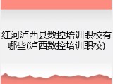 红河泸西县数控培训职校有哪些(泸西数控培训职校)