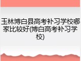 玉林博白县高考补习学校哪家比较好(博白高考补习学校)
