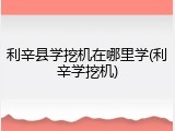 利辛县学挖机在哪里学(利辛学挖机)