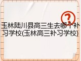 玉林陆川县高三生去哪个补习学校(玉林高三补习学校)