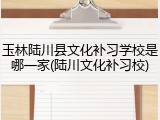 玉林陆川县文化补习学校是哪一家(陆川文化补习校)