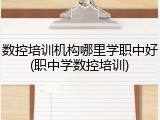 数控培训机构哪里学职中好(职中学数控培训)
