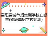 襄阳襄城单招集训学校在哪里(襄城单招学校地址)
