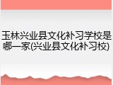 玉林兴业县文化补习学校是哪一家(兴业县文化补习校)