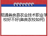 昭通彝良县农业技术职业学校好不好(彝良农校如何)