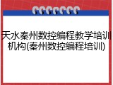 天水秦州数控编程教学培训机构(秦州数控编程培训)