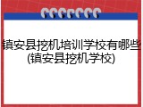 镇安县挖机培训学校有哪些(镇安县挖机学校)