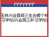 玉林兴业县高三生去哪个补习学校(兴业高三补习学校)