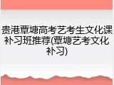 贵港覃塘高考艺考生文化课补习班推荐(覃塘艺考文化补习)