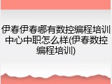 伊春伊春哪有数控编程培训中心中职怎么样(伊春数控编程培训)