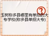 玉树称多县哪里有单招的大专学校(称多县单招大专)