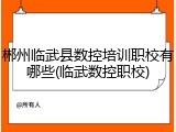 郴州临武县数控培训职校有哪些(临武数控职校)