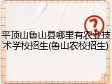 平顶山鲁山县哪里有农业技术学校招生(鲁山农校招生)