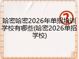 哈密哈密2026年单招培训学校有哪些(哈密2026单招学校)