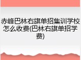 赤峰巴林右旗单招集训学校怎么收费(巴林右旗单招学费)