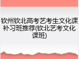 钦州钦北高考艺考生文化课补习班推荐(钦北艺考文化课班)